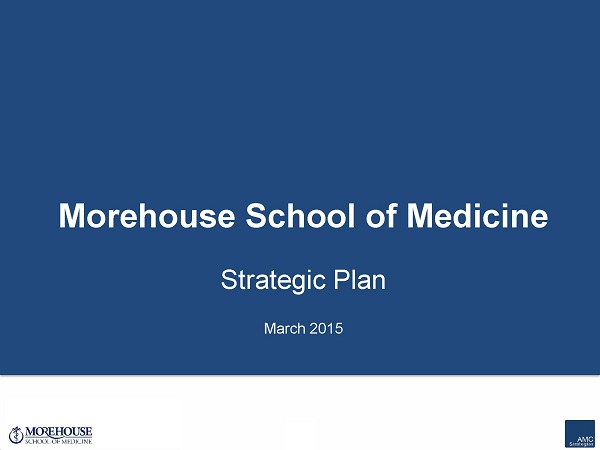 MSM 2015-2020 Strategic Plan